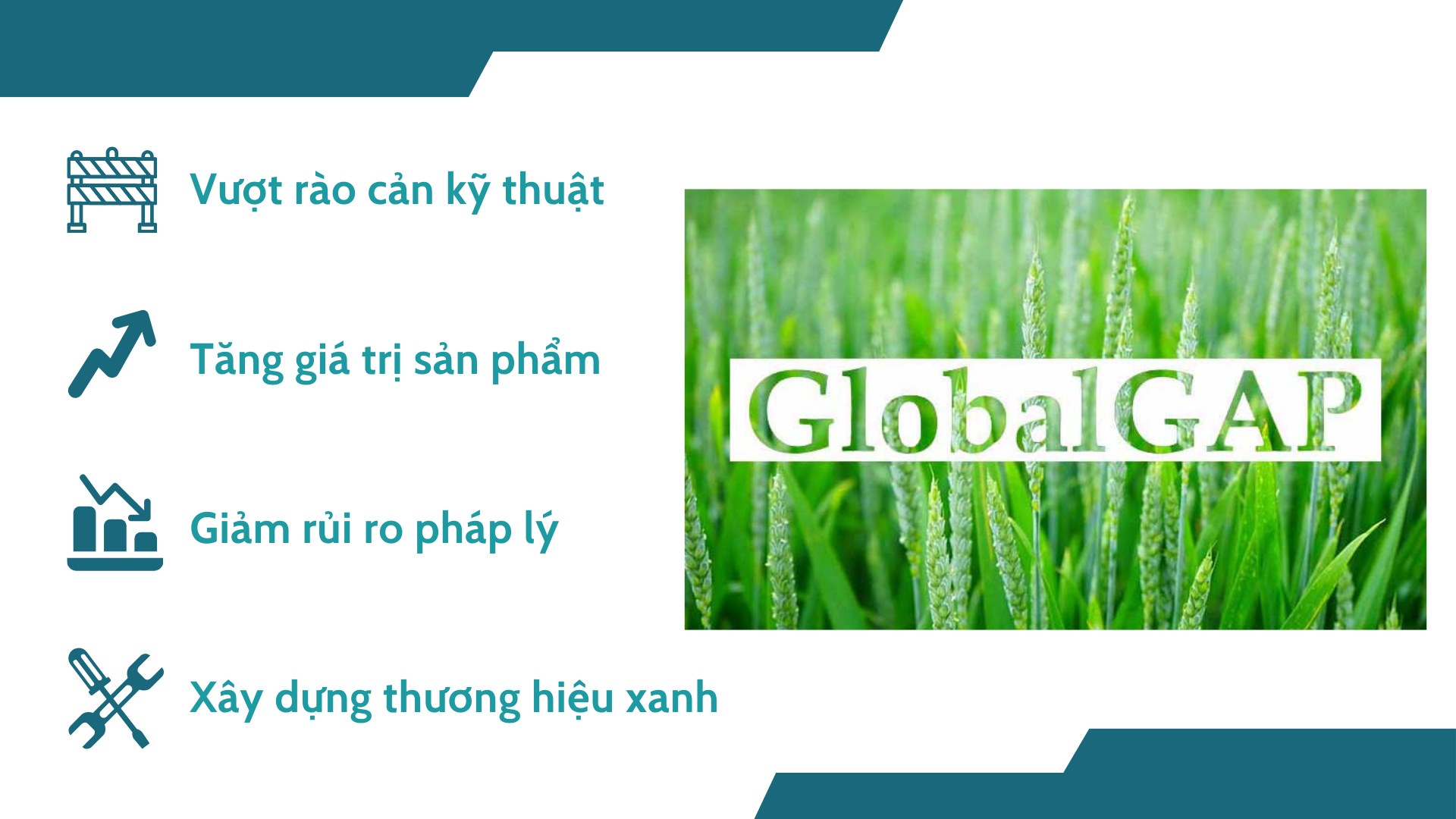 tam-quan-trong-cua-global-gap.jpg