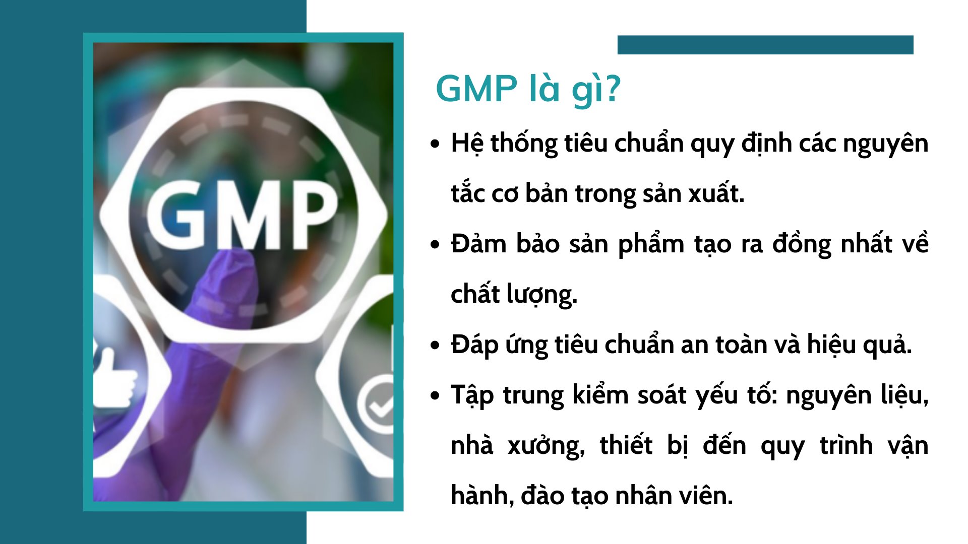gmp-la-gi.jpg
