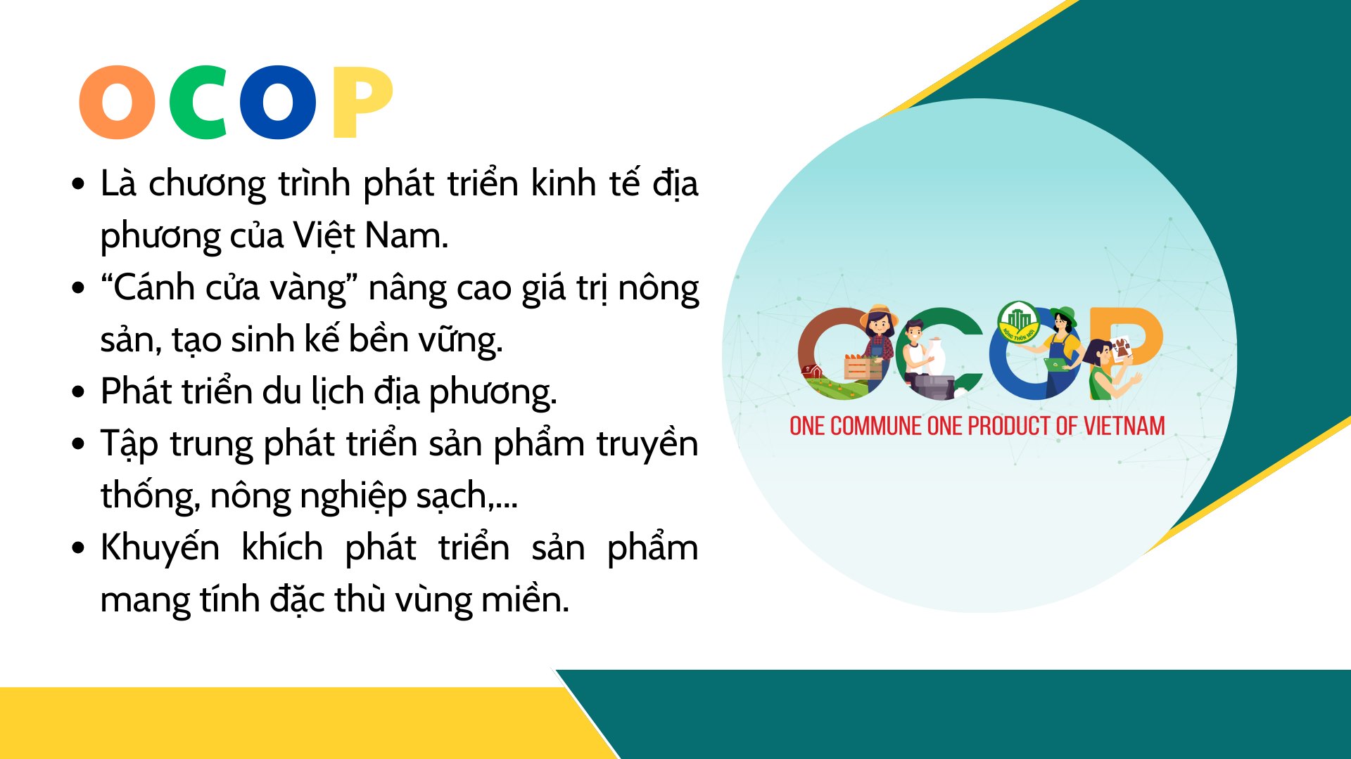 doi-net-ve-ocop.jpg