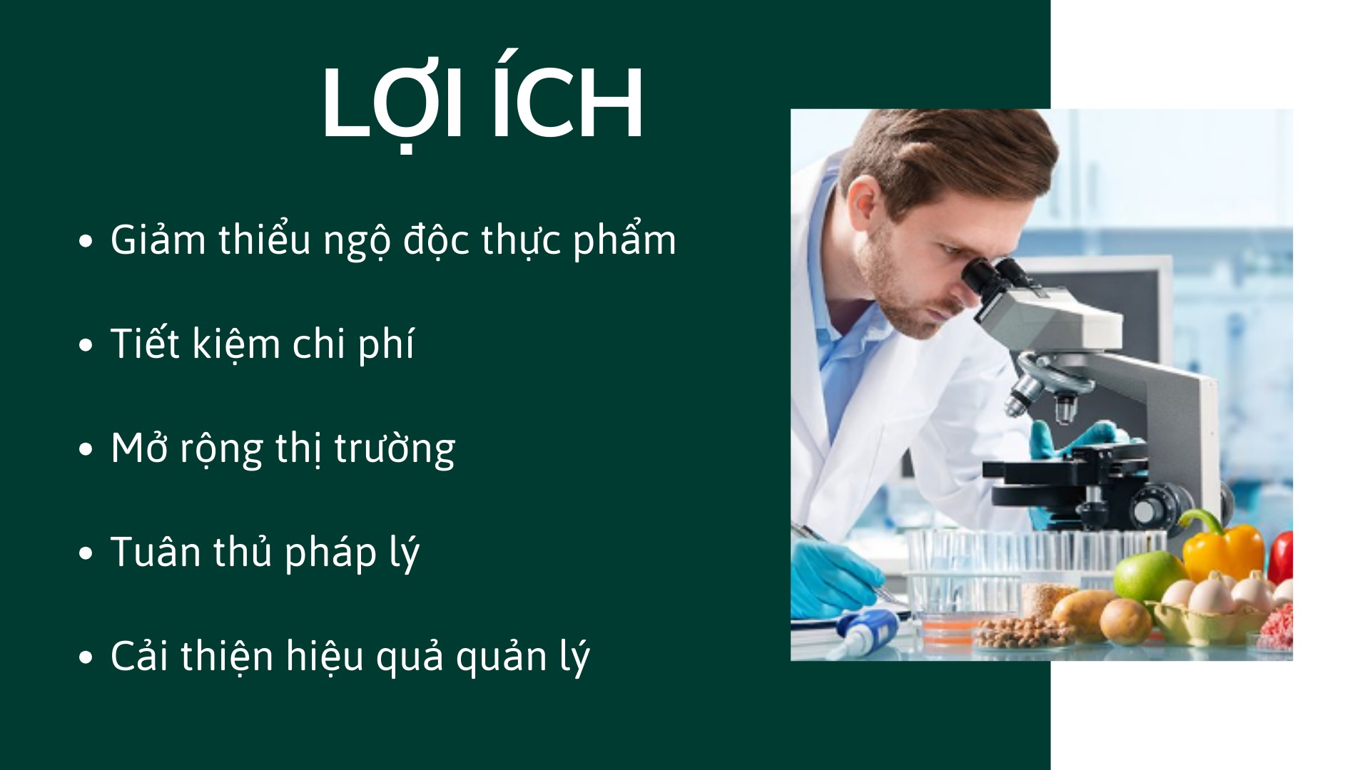 loi-ich-cua-haccp.jpg